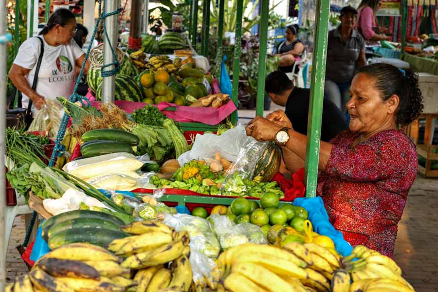 agricultura feira 002