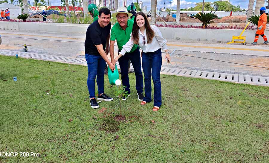 bocalom obras belem 005