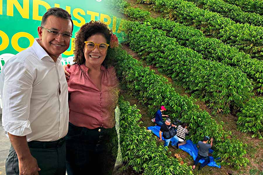 gonzaga investimentos 003