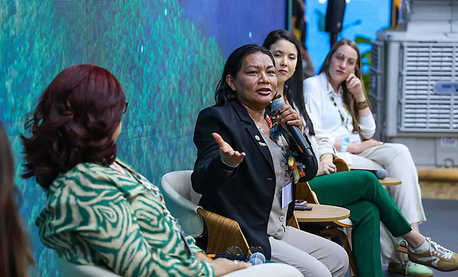 redd amazonia cop30 004