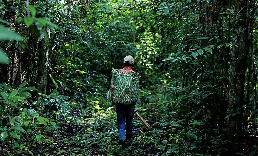 acre creditos geracao 003