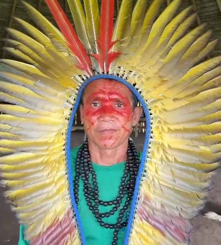 arara rio amonia 003