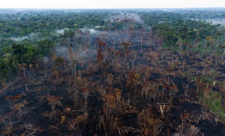 Desmatamento na Amazônia em 2021 é o maior dos últimos dez anos, diz Imazon