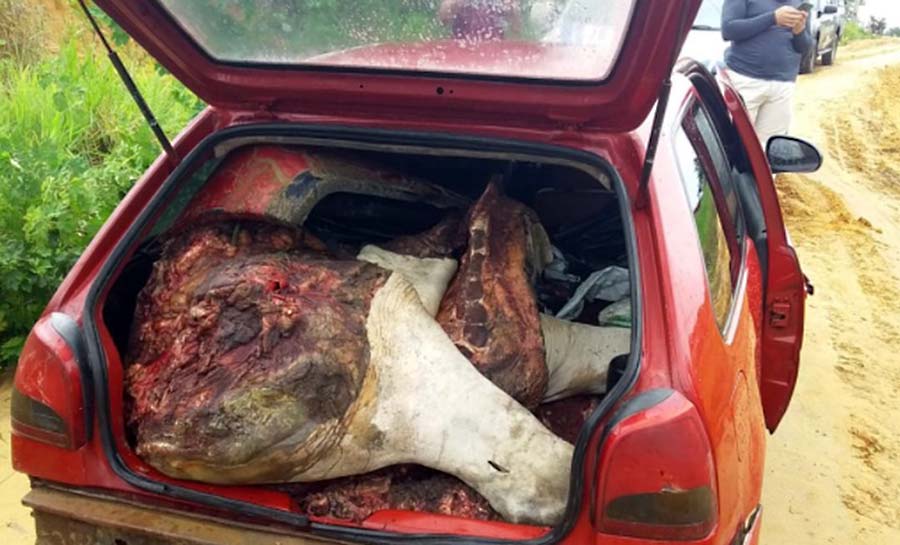 Carro que levava boi furtado de quase 400 quilos quebra em estrada no AC e deixa trio na mão