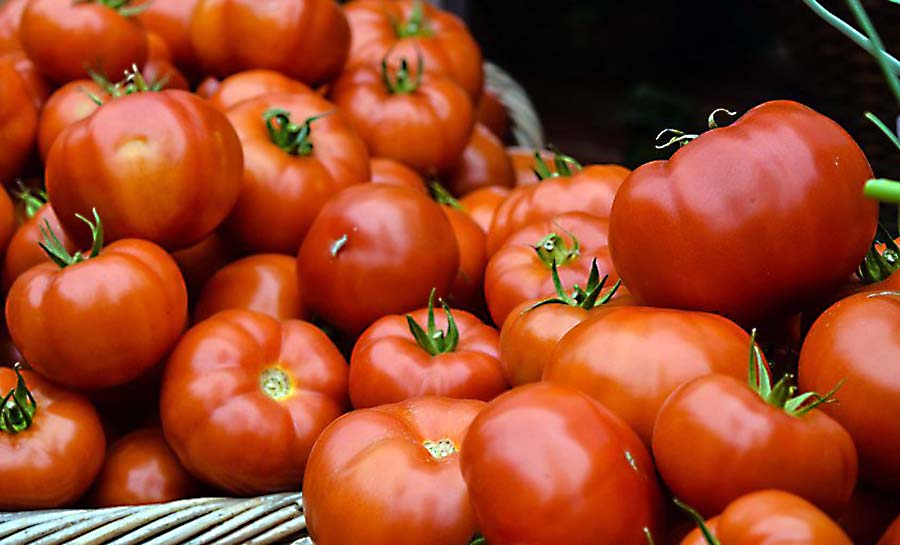 Tomate tem alta de preços há 20 semanas; por que ele lidera aumentos?