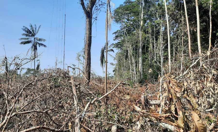 Mais de R$ 210 mil em multas foram aplicados durante operação dentro de floresta estadual no Acre