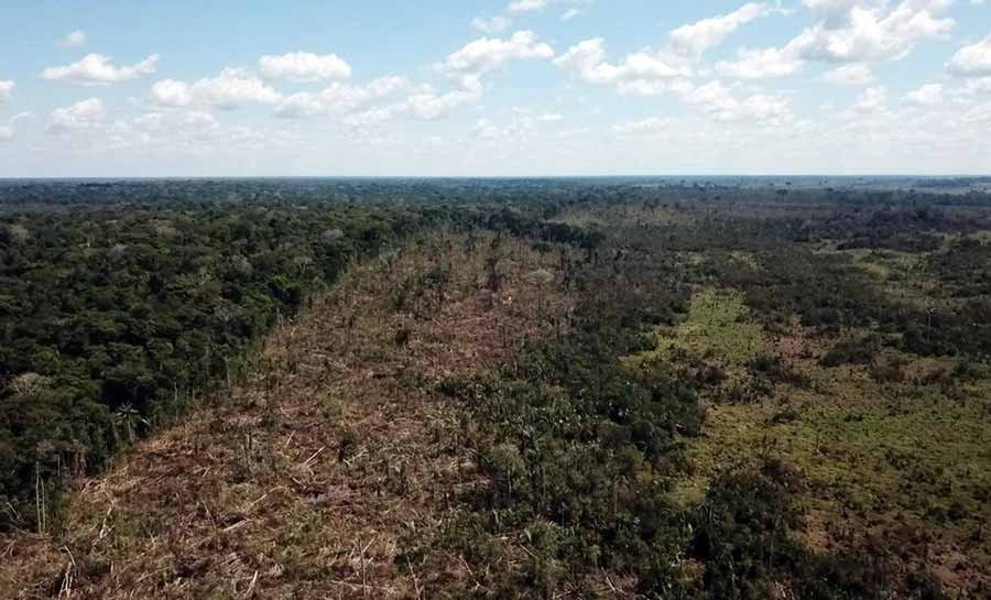 AC ocupa 3º lugar entre os estados que mais desmataram a Amazônia em agosto, aponta Imazon