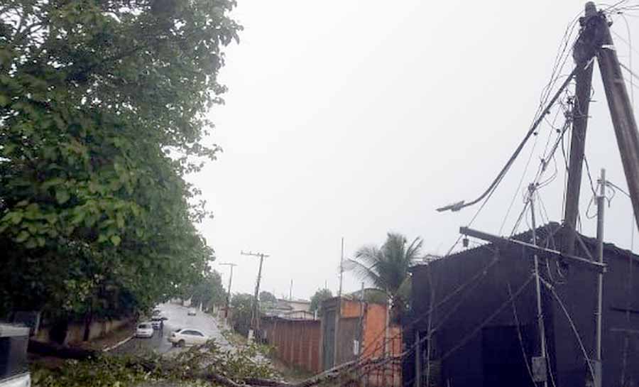 Temporal derruba árvores, causa deslizamentos e compromete estrutura de casas em Rio Branco