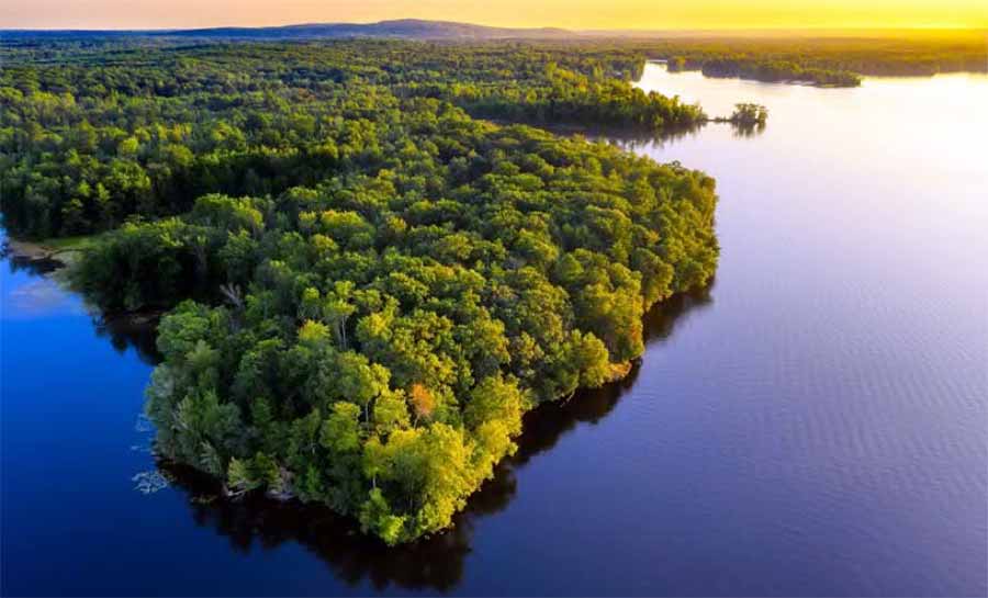 Amazônia, uma emergência