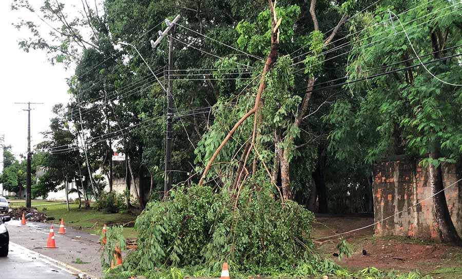 Forte chuva derruba árvores e deixa parte de bairro sem energia em Rio Branco