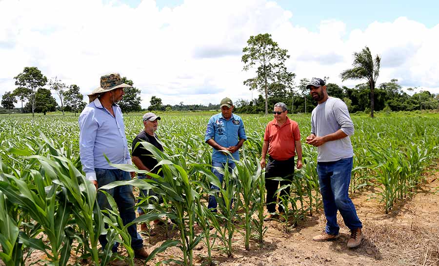 Prefeitura investe na produção de grãos visando geração de emprego e renda na zona rural