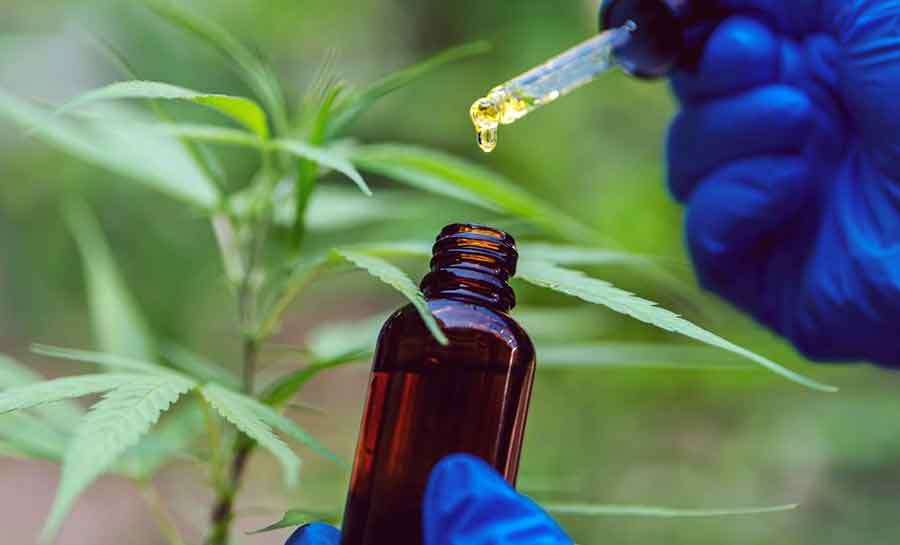 Cannabis medicinal: conheça histórias de quem luta para ter o remédio