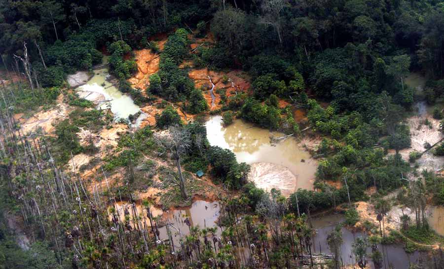 Yanomami pedem água potável e dizem que garimpo ilegal contamina rios