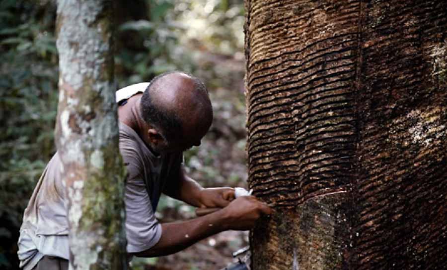 Mudanças climáticas – em busca de uma transição justa