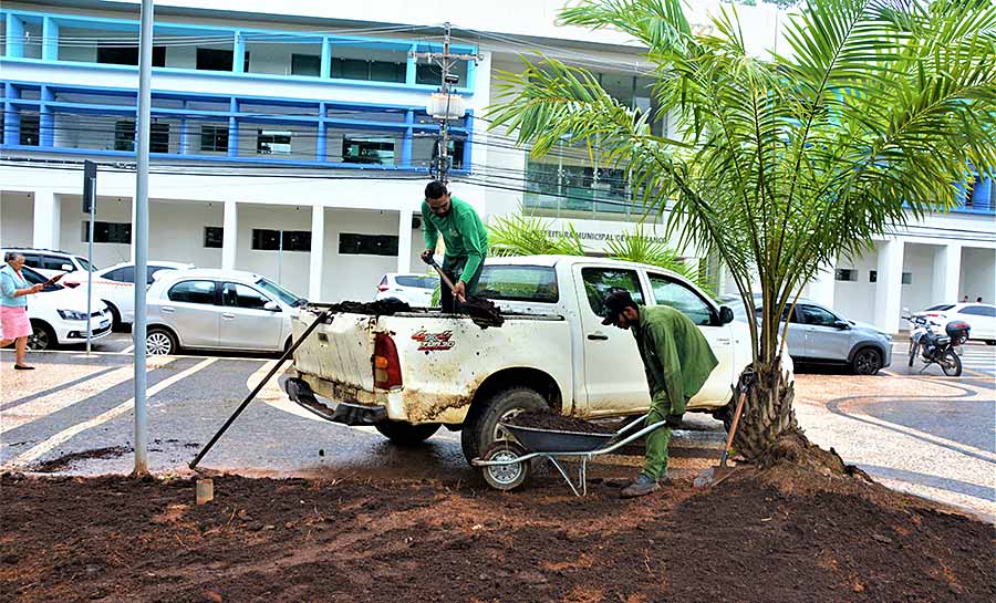 Prefeitura faz recuperação do paisagismo na Praça da Revolução e canteiros da cidade