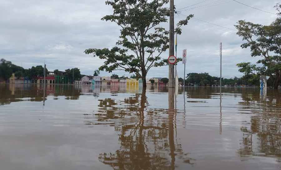 Nível Do Rio Acre Atinge 1737 Metros E Mais De 28 Mil Pessoas Estão Desabrigadas Em Rio Branco 