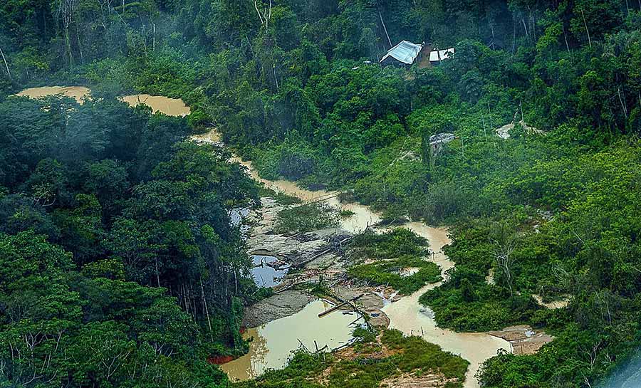 PF ouve primeiros depoimentos sobre ataque na Terra Yanomami
