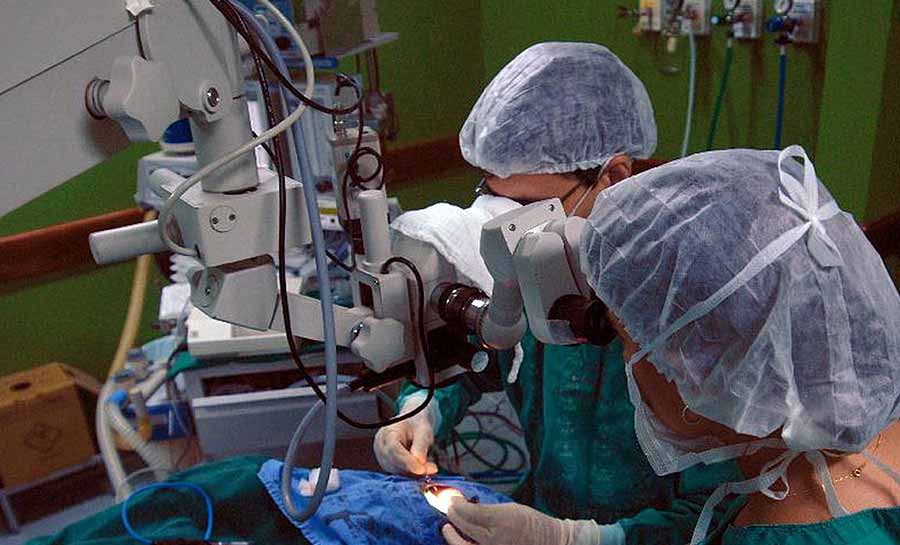 Hospitais universitários são referência em transplantes de órgãos