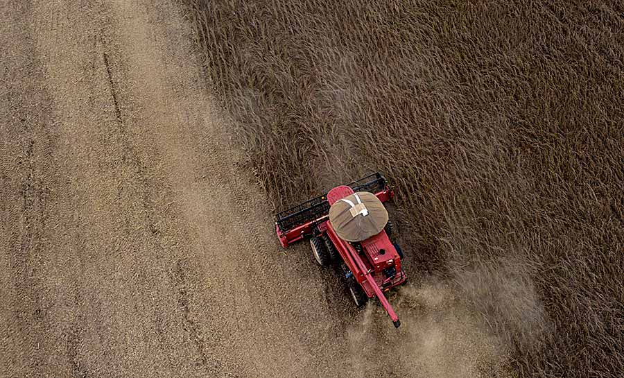 Acre: a nova fronteira agrícola da soja