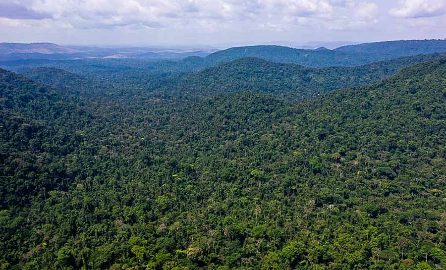 Desmatamento na Amazônia cai 31% de janeiro a maio