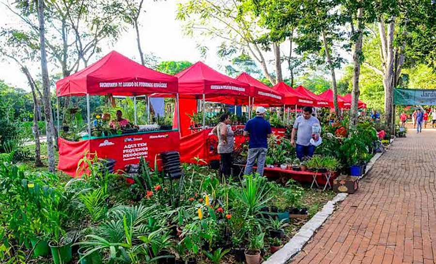 Ecoflores será lançada nesta sexta-feira, 23, no Horto Florestal