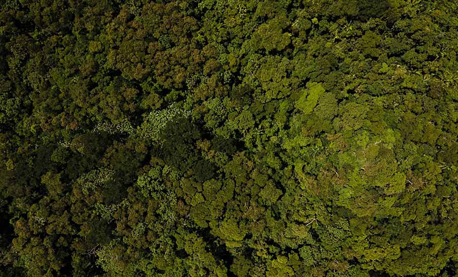 Focos de queimadas no Acre reduzem 65% no primeiro semestre deste ano, aponta Cigma