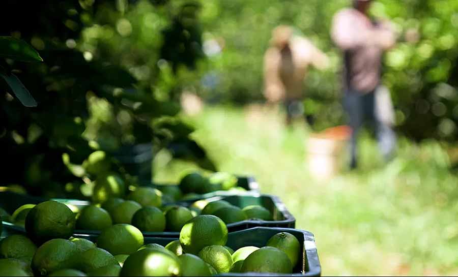 Programa de educação financeira e empreendedora para agricultores de Rio Branco é aprovado pela prefeitura