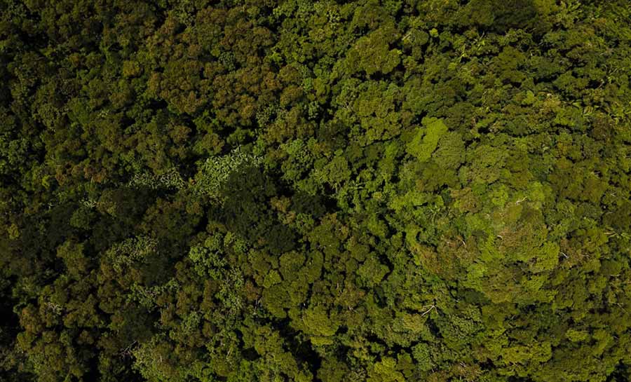 Acre inicia segundo semestre com redução nos alertas de desmatamento e focos de queimadas