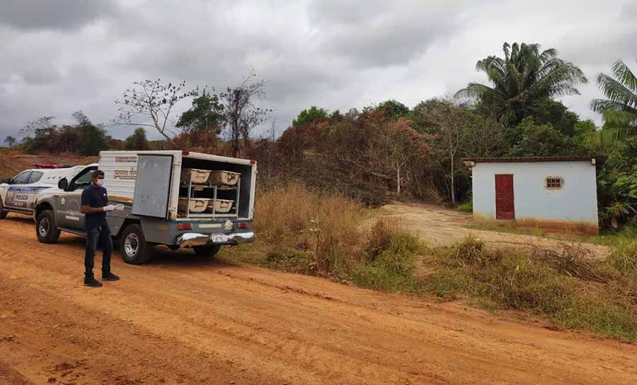 Mulher é achada morta e seminua em matagal no interior do Acre; Polícia Civil investiga