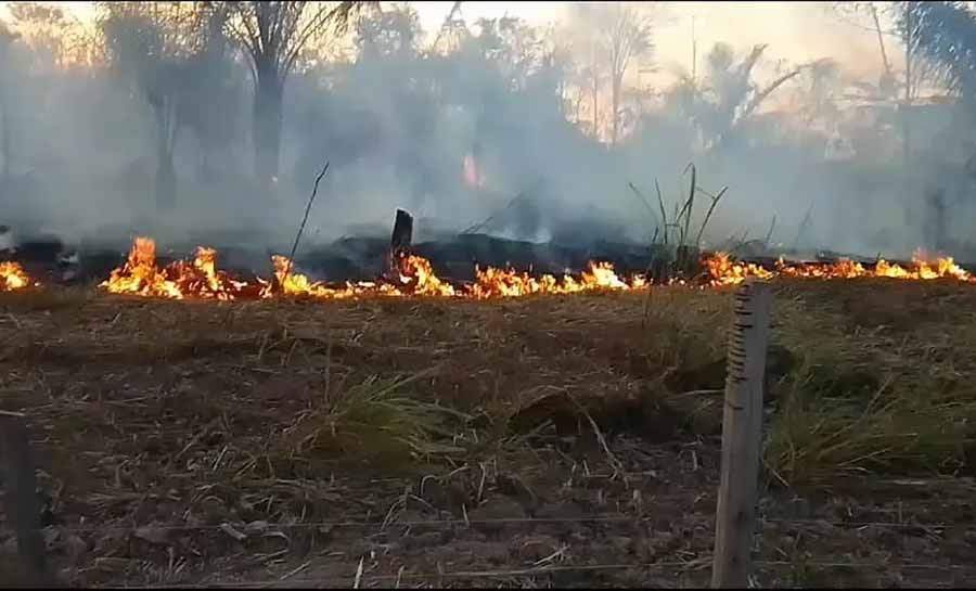 Produtora rural relata desespero ao tentar apagar fogo em projeto de assentamento no Acre: ‘queimou tudo’