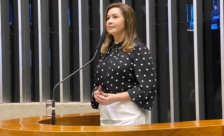 Socorro Neri é a única integrante da bancada acreana a votar contra a minirreforma eleitoral