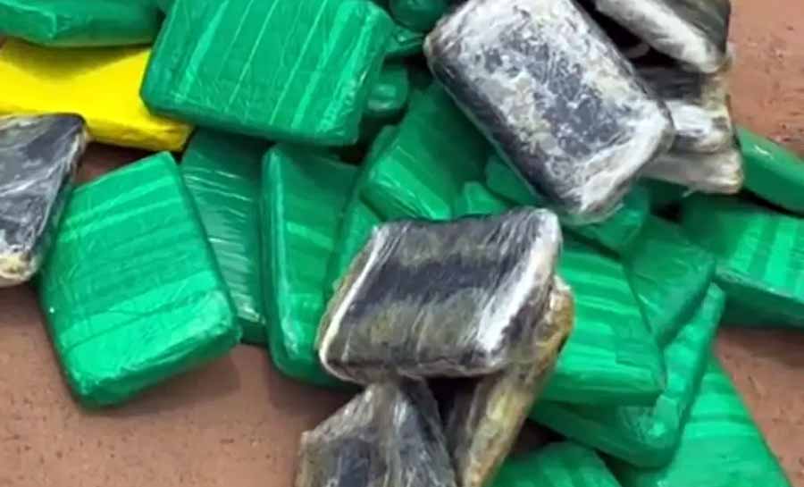 Polícia apreende quase 80 quilos de cocaína escondidos em móveis dentro de caminhão de mudança no Acre