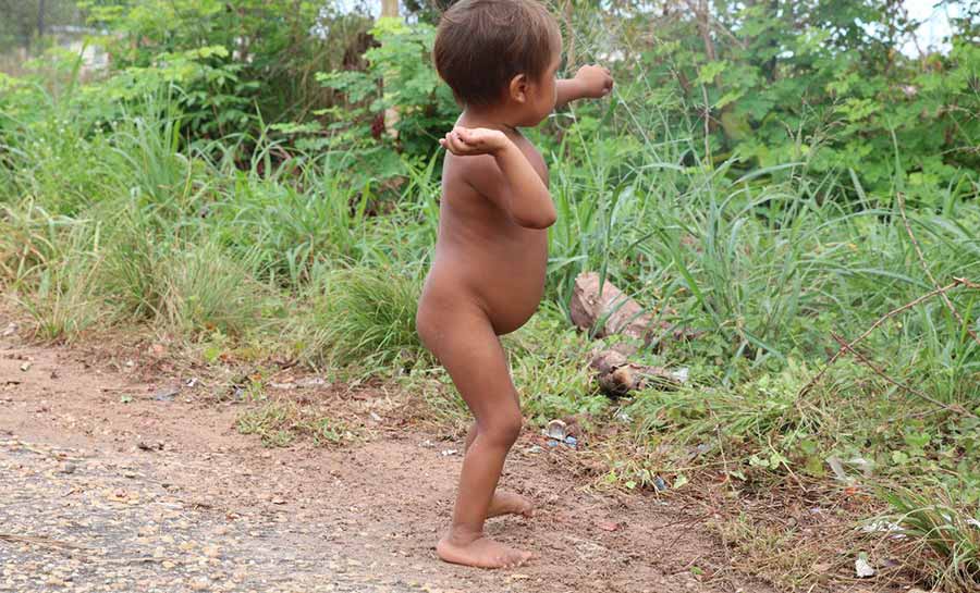 PF investiga desvios de medicamentos destinados aos Yanomami