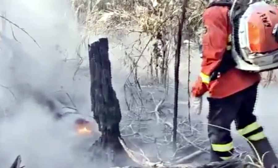 Pantanal bate recorde de incêndios para novembro, com 2,3 mil focos