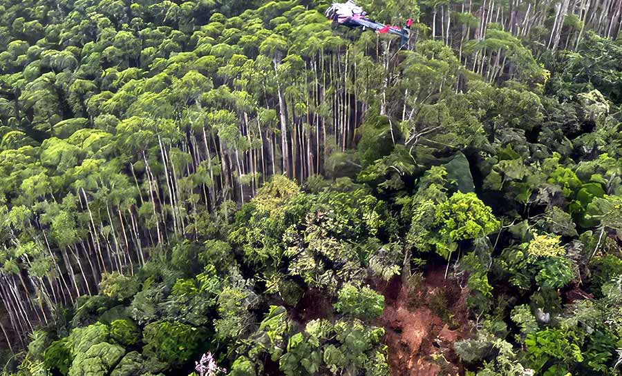 Corpos de ocupantes de helicóptero são encontrados junto aos destroços