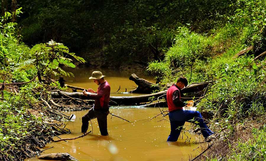 Biodiversidade de insetos aquáticos que habitam o Parque Estadual Chandless é tema artigo científico