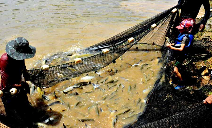 Rio Branco se prepara para mais uma edição da tradicional Feira do Peixe