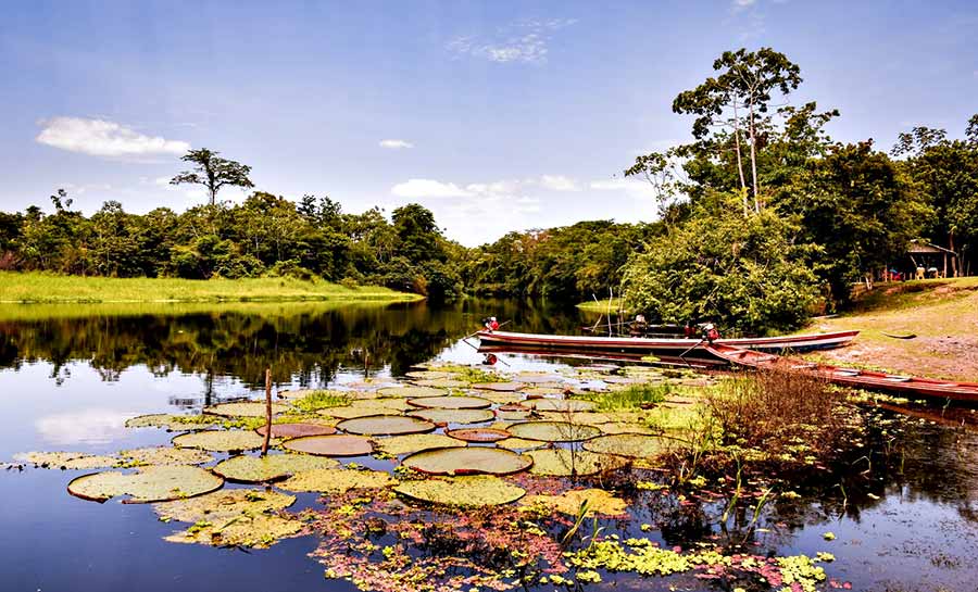 Com autoridades federais e estaduais, 27º Fórum de Governadores da Amazônia Legal promove debate sobre preservação e desenvolvimento da região