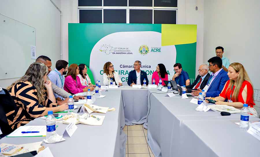 Câmara Temática de Cultura e Economia Criativa discute programas e ações conjuntas com representantes de estados da Amazônia Legal