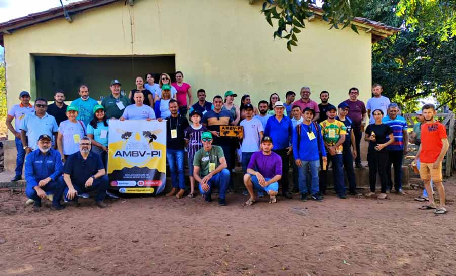 Com o apoio do Estado, produtores de mel participam de intercâmbio de criação de abelhas no Piauí