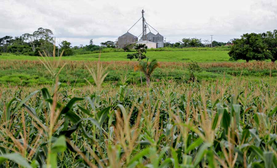 Com ações que tornam Acre um ambiente propício para negócios, governo quer bater recorde de exportações até o fim do ano