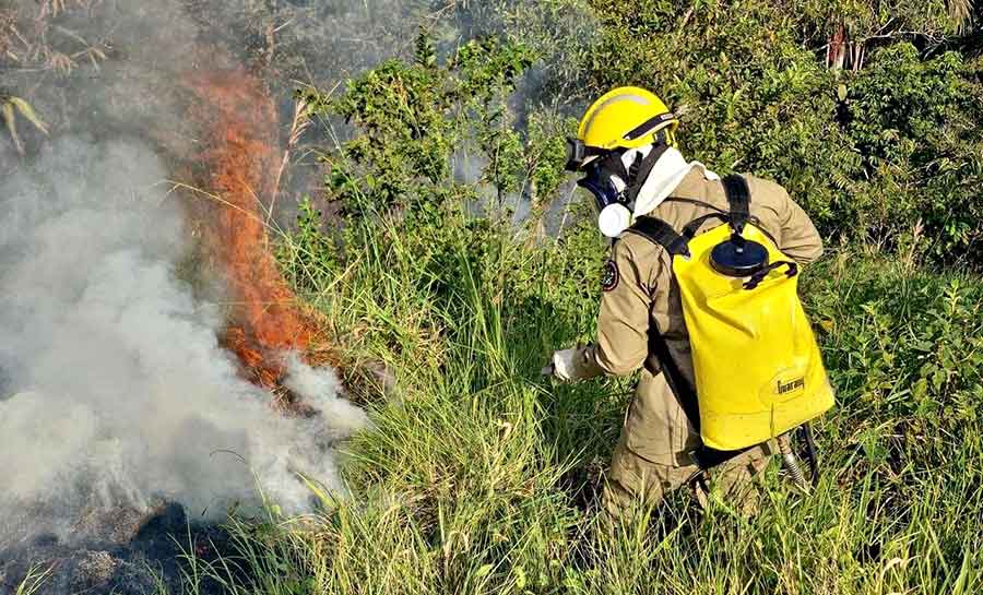 Governo intensifica ações da Campanha Respire Vida: combata as queimadas e o desmatamento