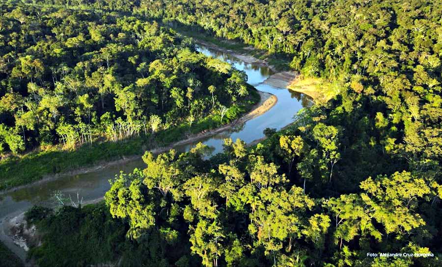 Dia da Amazônia: Acre reafirma compromisso com a conservação do bioma fundamental para o equilíbrio climático e ambiental do planeta