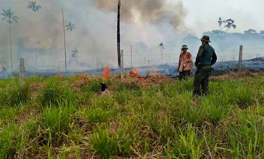 Mais de 40 pessoas foram presas por crimes ambientais em 2024 no AC, diz PM