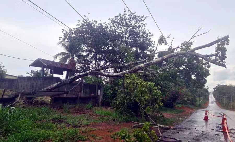 Temporal volta a causar queda de árvores e destelhamento de casas em Rio Branco