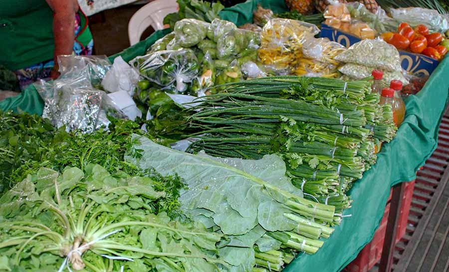 Agricultura Familiar um passo para preservar