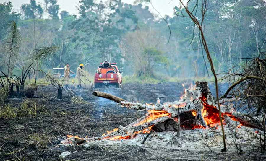 Em 15 dias de novembro, nº de queimadas no Acre já chega a 94% do total de todo o mês em 2023