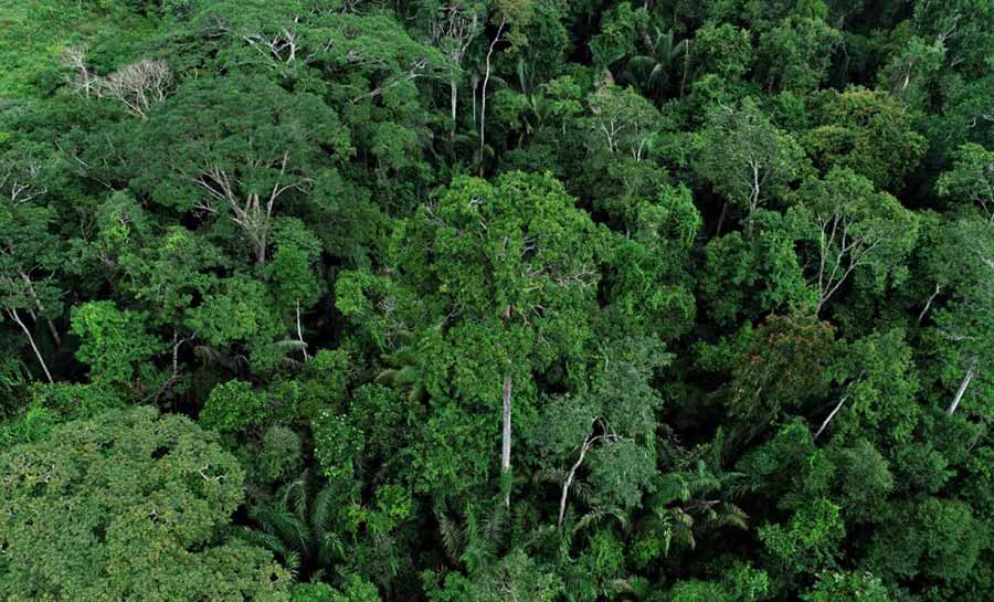 Governo do Acre anuncia realização da 5ª Conferência Estadual de Meio Ambiente em março