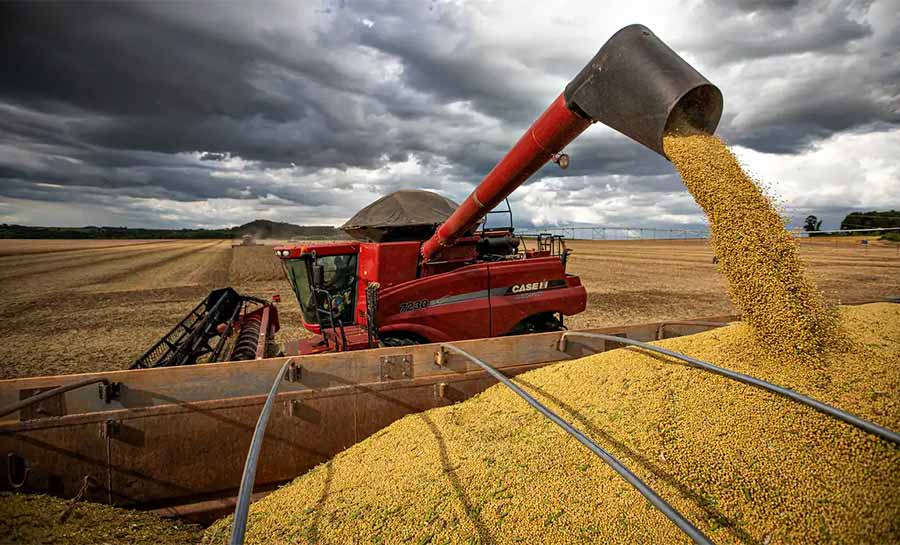 Após primeiras colheitas, Conab confirma estimativa de safra recorde