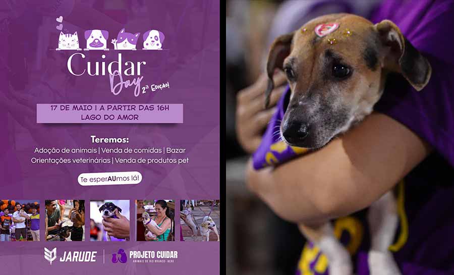 Cuidar Day: segunda edição de feira de adoção de animais acontece neste sábado, no Lago do Amor